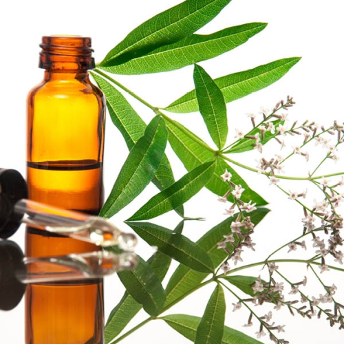 柠檬马鞭草精油