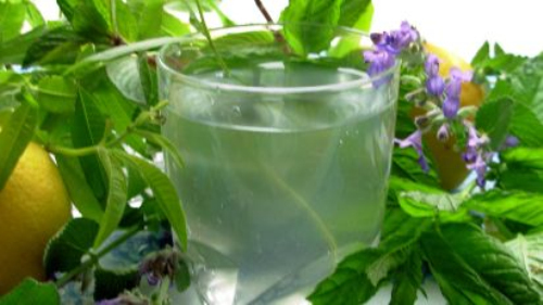 柠檬马鞭草茶