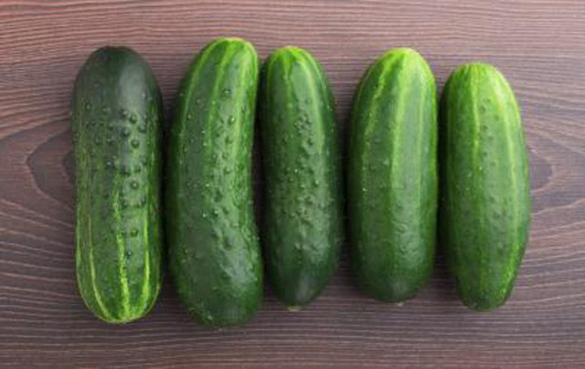 黄瓜