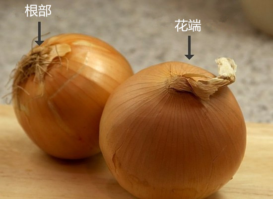 洋葱的切法