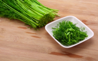 如何冷冻新鲜香草香料，并长期储存？