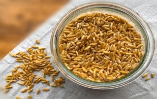 呼罗珊（Khorasan）小麦是什么？有什么营养价值和健康功效？