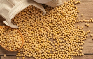 含卵磷脂的食物有哪些？在烘焙中有什么作用？