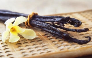 香草是什么？在食品烘焙中有什么作用？