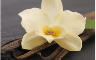 香兰素是什么？在食品行业有什么作用？