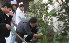 拒绝雾霾我植树我自豪