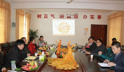 市民政局专家组听取汇报